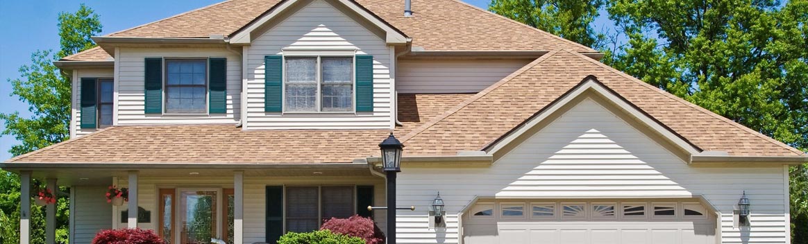 Professional Roofing Services