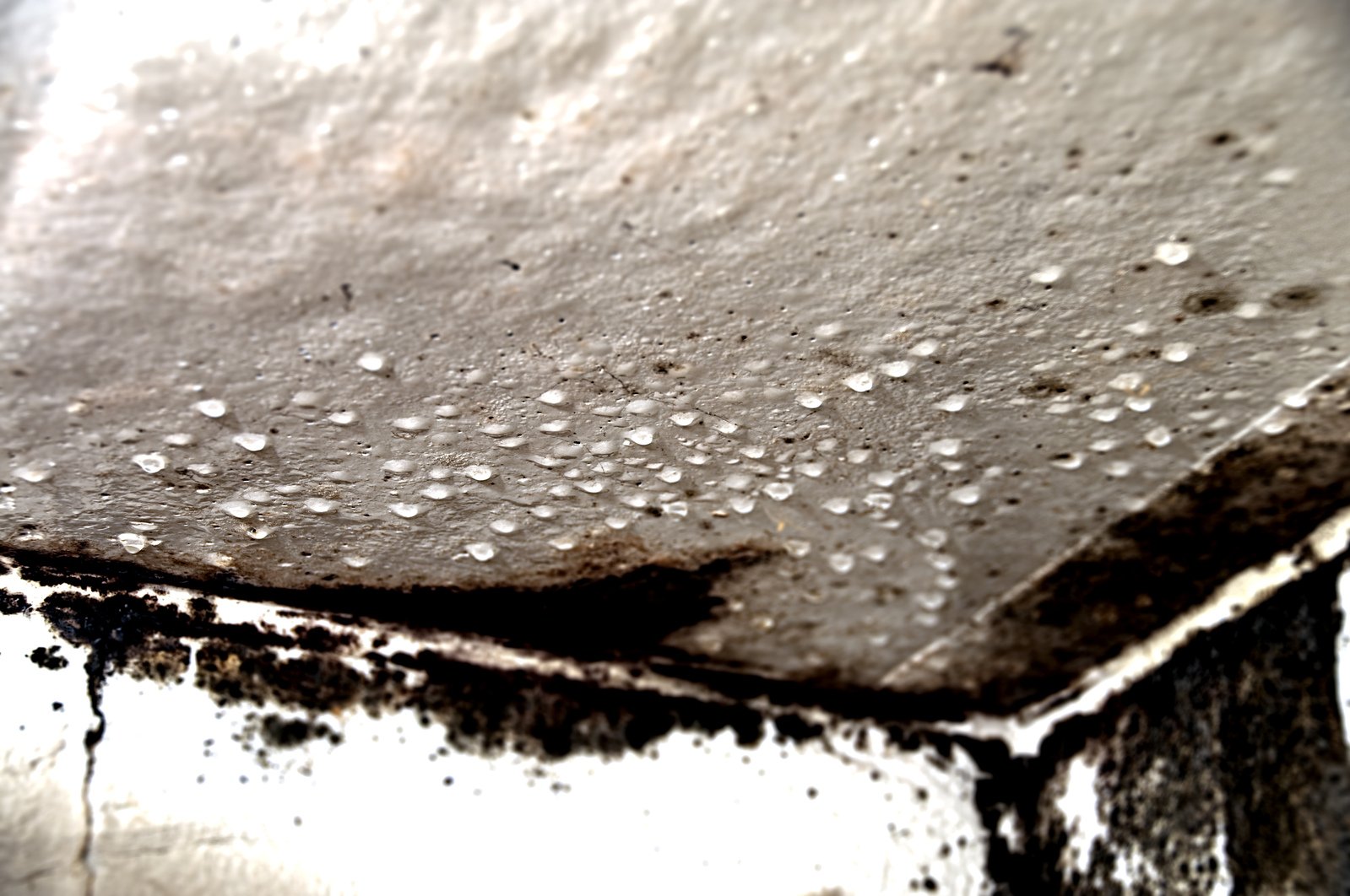 ceiling water damage - leaking roof repairs