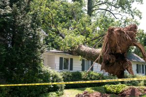 storm damage roof repair in Ann Arbor